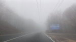 2 апреля в Симферополе сохранится туман