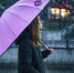 Девушка под зонтом - Туристический портал