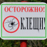 Клещи уже готовы поздороваться с людьми в лесах. - Крымская правда