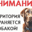Ветеринарными специалистами в городе Керчь привлечено 8 граждан к административной ответственности - Комитет ветеринарии