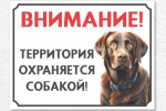 Ветеринарными специалистами в городе Керчь привлечено 8 граждан к административной ответственности