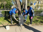 Крымчане приняли участие во Всероссийском субботнике, который прошел под патронатом «Единой России»