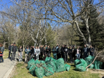 Сотрудники Крымфиннадзора приняли участие во Всероссийском субботнике