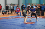 Сборная Республики Крым — призёр чемпионата ЮФО по грэпплингу