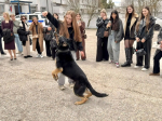 IMG_20260506_180023_877