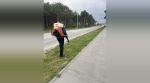 Около 130 гектаров в Симферополе обработали от клещей