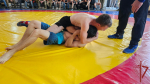 В Севастополе состоялся чемпионат по комплексному единоборству среди представителей Росгвардии