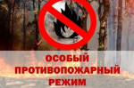 С 24 июня в Крыму введен особый противопожарный режим