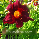 фото МАХ канал Республика Крым |Z| Официально