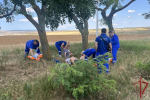 Росгвардейцы оказали помощь пострадавшим в ДТП в Крыму
