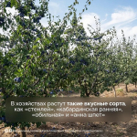 фото в МАХ канал Республика Крым |Z| Официально