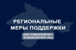Сергей Аксёнов: Приняты меры поддержки для самозанятых и физических лиц