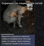 3dbd1cc8-0f38-487a-8517-e528f0c52489