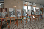 В Симферополе проходит фотовыставка «Искусство исцелять», посвящённая труду медицинских специалистов
