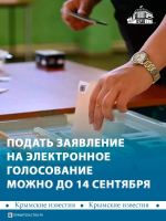 Дистанционное голосование