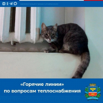 фото с канала в МАХ администрации Симферополя