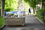 Глава Крыма поручил разобраться с проблемой свалок в СНТ «Живописное»